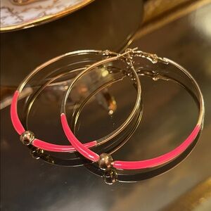 Hot Pink Hoop Earrings